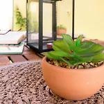 Colina Сasa de vacaciones Maspalomas (Gran Canaria)